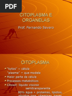 Biologia PPT - Organelas e Citoplasma