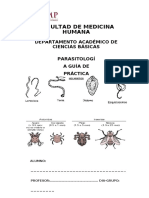 Prácticas 1 y 2 de Parasitología USMP 2015