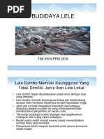 Download 227975budidaya Lele Ppt by Nini Nurani Rakhmatullah SN320539065 doc pdf