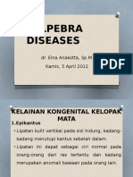 Palpebra Diseases