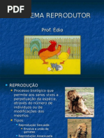 Download Biologia PPT - Sistema Reprodutor by Biologia ppt SN3205481 doc pdf
