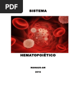 Sistema Hematopoiético