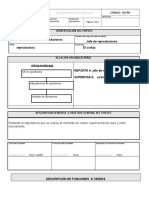 Formato de descripción de puesto (Perfil de cargos)