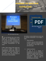 Generalidades del juicio oral civil-mercantil