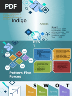 Indigo Airlines Marketing