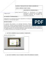 Formato Peligros Riesgos Sec Economicos