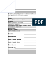 Formatos Plan Auditoria