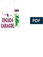 Curso Escada Caracol PDF