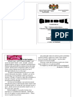 cartea_profesorului_serdesniuc.doc