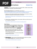 Student Exploration Building Dna Nucleotides Dna