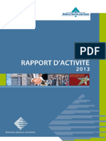 Rapport Activite 2013