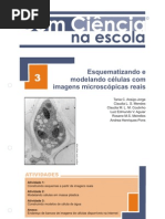 Apostila Com Ciência Na Escola - Fascículo 03