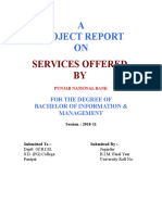 19423527 Project Report PNB 1