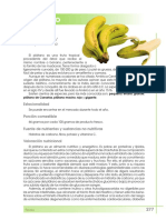 platano_tcm7-315357.pdf