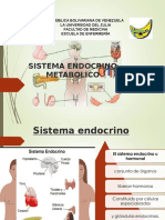 Sistema Endocrino Liliana