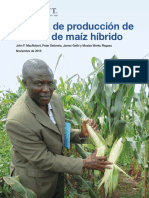 Producción de Semilla Híbrida de Maíz