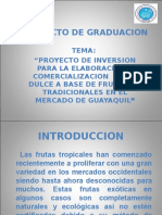 PROYECTO DE GRADUACION