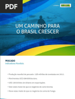 MPA - O Caminho Para o Brasil Crescer