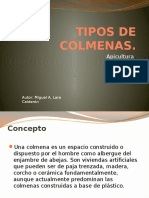 Tipos de Colmenas