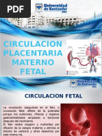 Circulacion Placentaria Materno Fetal