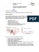 Ayudantía y Solución-Tronadura