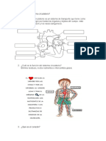 Prueba de Fisiologia