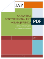 GARANTIAS_CONSTITUCIONALES_Y_NORMA_JURID (1).pdf