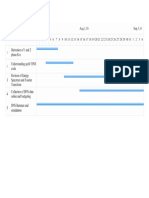 gantt chart of DNS project