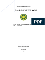 Central Park, Paru-paru Manhattan