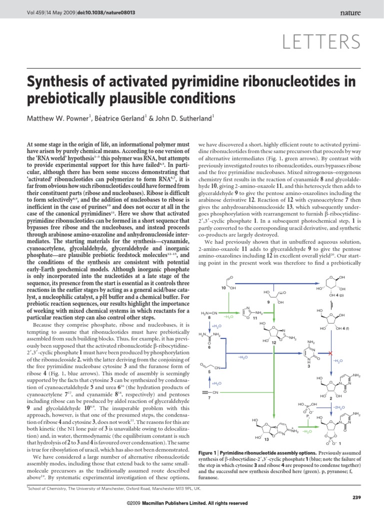 Synthesis of Activated Pyrimidine Ribonucleotides PDF | PDF ...