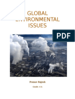 Global Environmental Issues: Pranav Rajesh