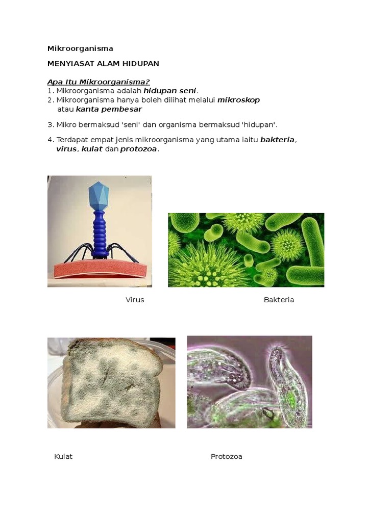 Mikroorganisma Pdf