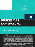 Puskesmas Lamepayung