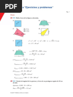Problemas Métricos en El Plano