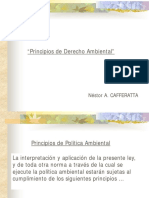 Principios de Derecho Ambiental_Néstor Cafferatta