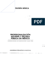 02_Profesionalización Docente y Escuela Pública_ANT BÁSICA