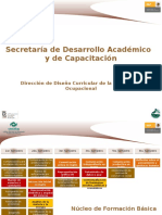 Formación Básica Actualizada