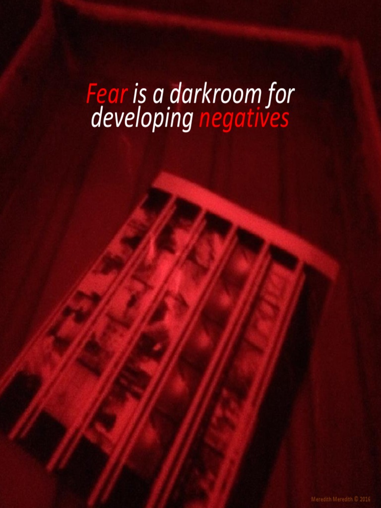 Fear Negatives Is A Darkroom For Developing PDF