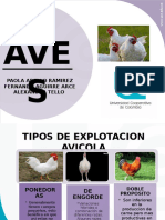 Exposicion Aves