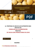 Dr Carlos Campabadal Nutrición Proteica