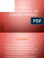 Estrutura Do Genoma Humano