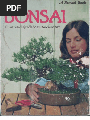 Bonsai Illustrated Guide To An Ancient Art - 