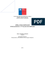 APELLIDOS MAPUCHE 2012.pdf
