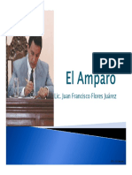 El Amparo Origen Principio y Naturaleza Juridica