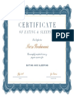 Certificate: Mirza Ibrahimovic