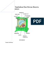 Ilmu Biomedik Dasar