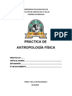 Antroplogia Formato de Practica Museo