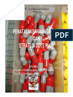 Arifin Nawas Penatalaksanaan Tb Mdr Dan Strategi Dots Plus