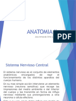 Anatomia Humana II by Armando Ortiz