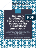 Curaduría Exposición Fotográfica